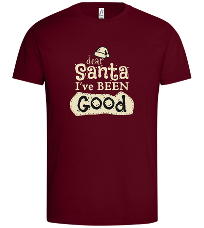 Santa I've Been Good Design - Premium men's t-shirt_CHILE_front