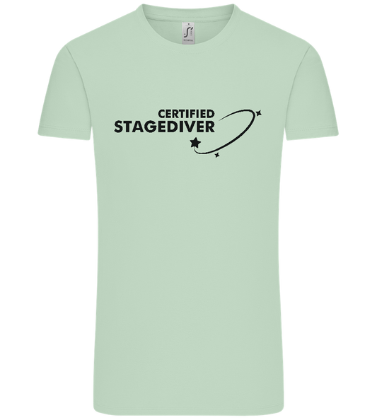 Certified Stagediver Design - Comfort Unisex T-Shirt_ICE GREEN_front