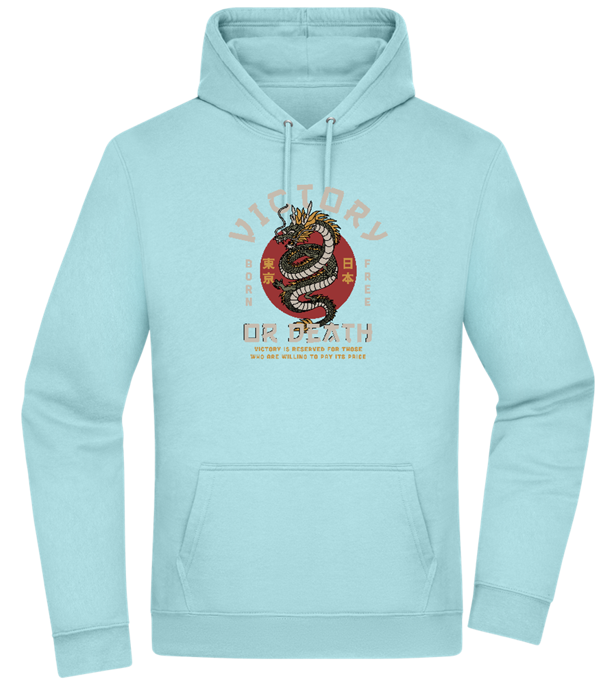 Victory Dragon Design - Premium Essential Unisex Hoodie_POOL BLUE_front