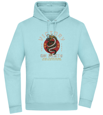 Victory Dragon Design - Premium Essential Unisex Hoodie_POOL BLUE_front