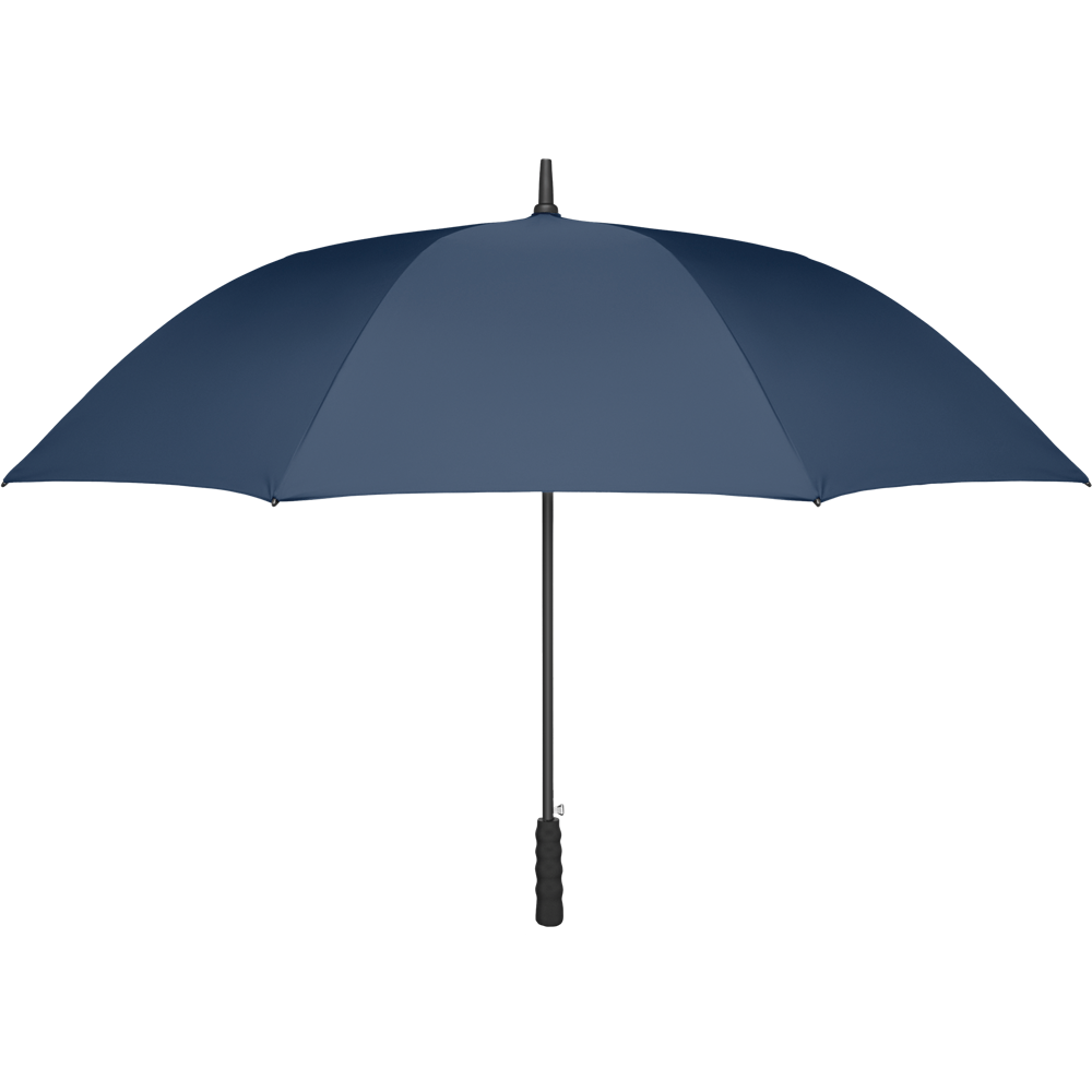 Auto-Open Windproof Umbrella_BLUE_DETAILEDIMAGE_front_1
