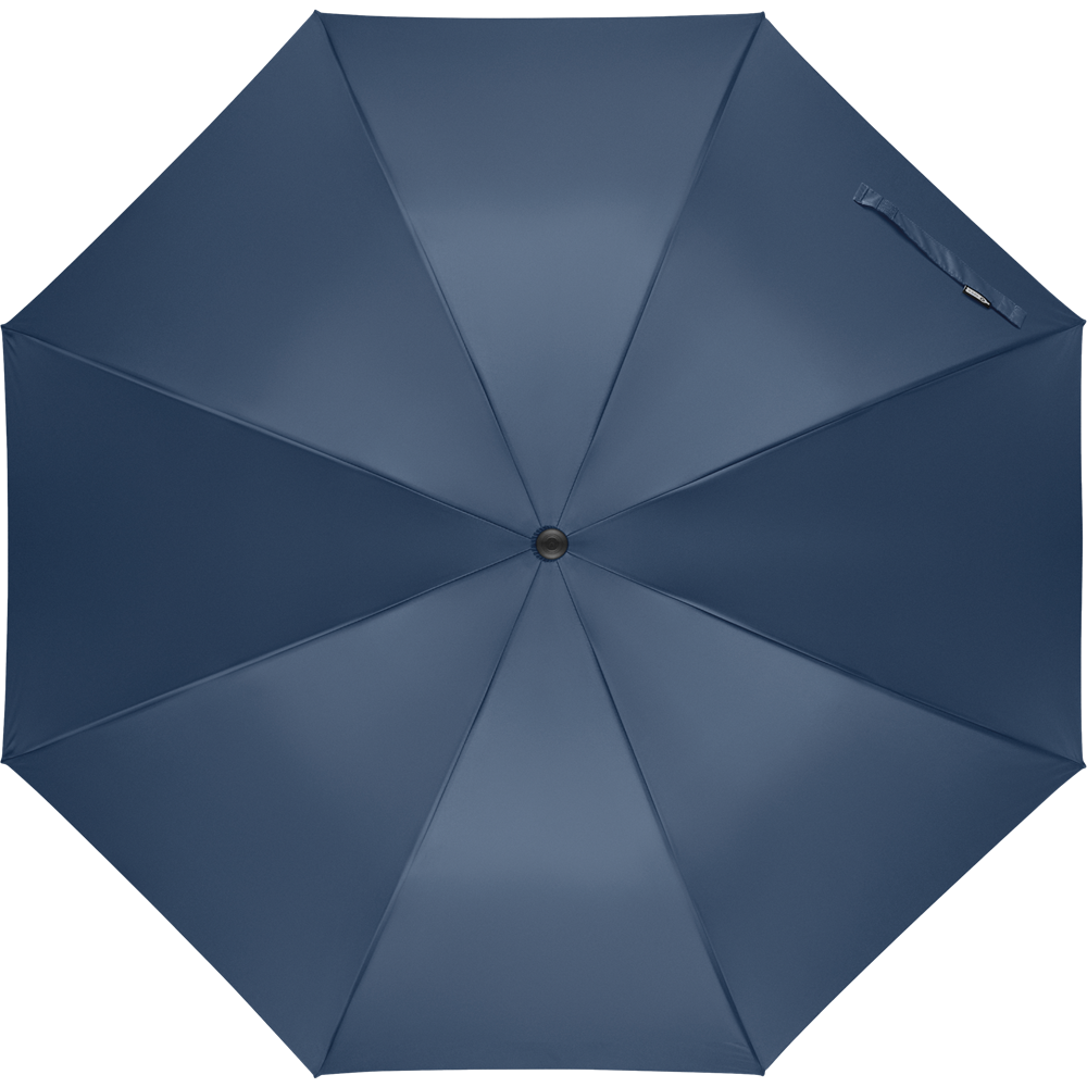 Auto-Open Windproof Umbrella_BLUE_front