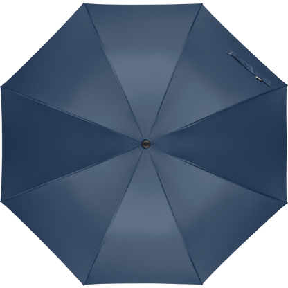 Auto-Open Windproof Umbrella_BLUE_front