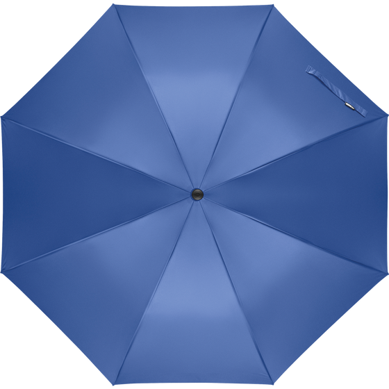 Auto-Open Windproof Umbrella_ROYAL BLUE_front