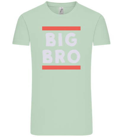 Big Bro Text Design - Comfort Unisex T-Shirt_ICE GREEN_front