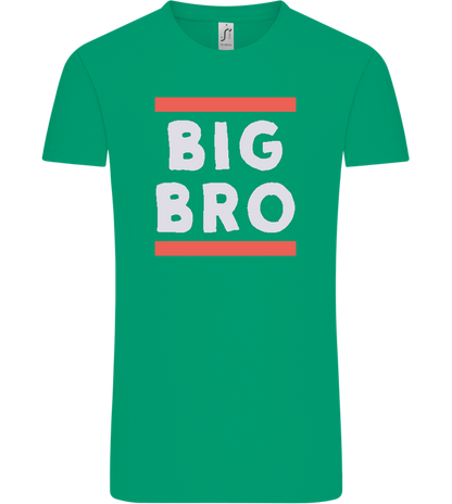 Big Bro Text Design - Comfort Unisex T-Shirt_SPRING GREEN_front
