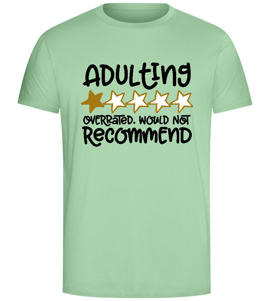 Adulting One Star Design - Comfort Unisex T-Shirt_ICE GREEN_front