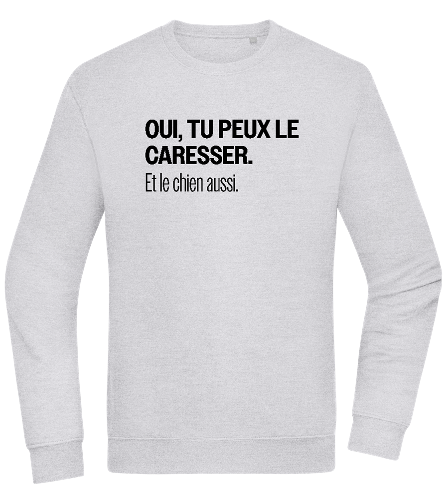 Tu Peux le Caresser Design - Comfort Essential Unisex Sweater_ORION GREY II_front