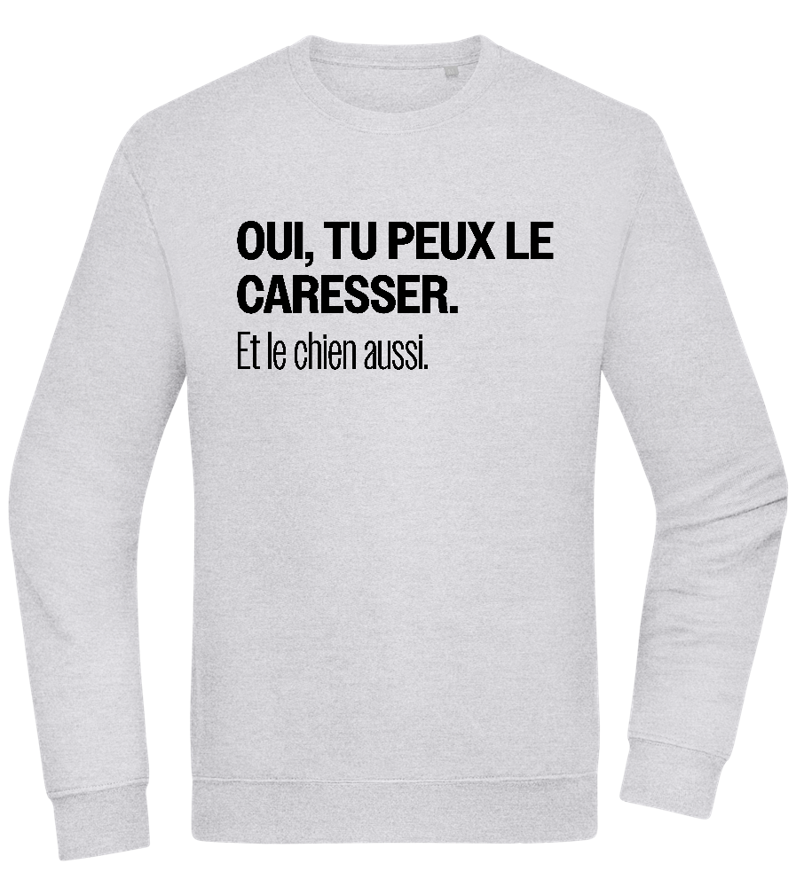 Tu Peux le Caresser Design - Comfort Essential Unisex Sweater_ORION GREY II_front