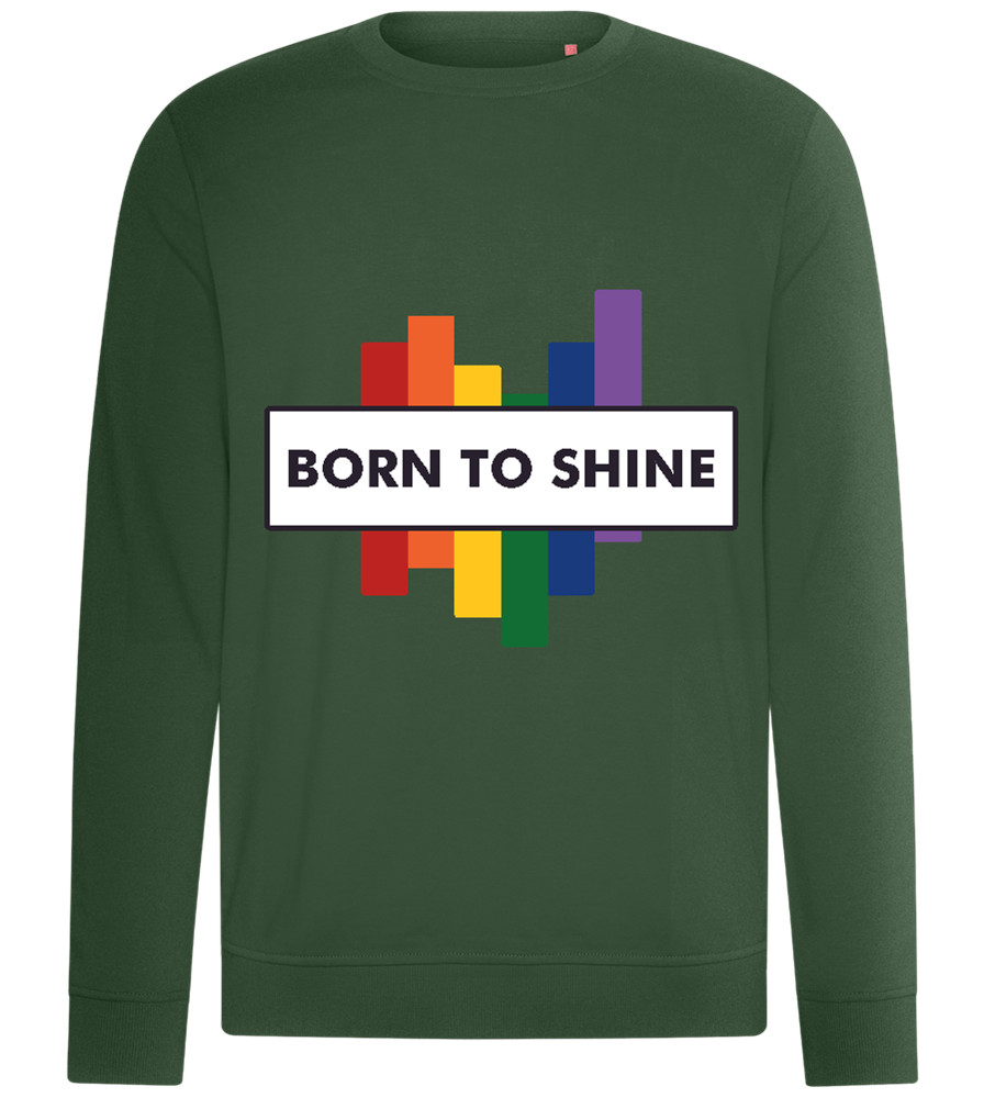 Born to Shine Design - Comfort unisex sweater_GREEN BOTTLE_front