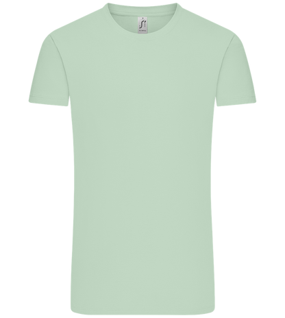 Comfort Unisex T-Shirt_ICE GREEN_front