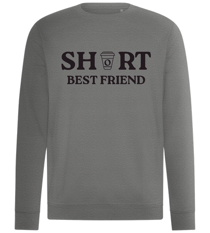 The Short Best Friend Design - Comfort unisex sweater_ORION GREY II_front