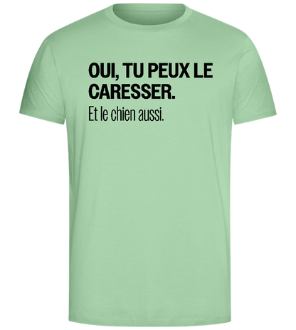 Tu Peux le Caresser Design - Comfort Unisex T-Shirt_ICE GREEN_front