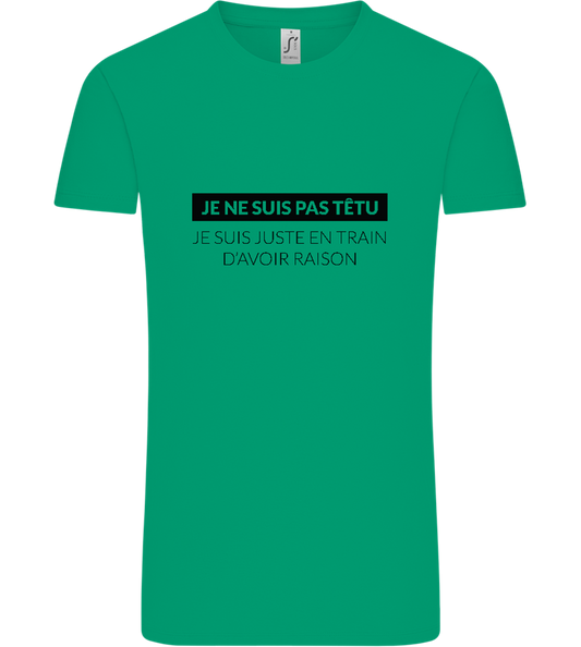 I'm Always Right Design - Comfort Unisex T-Shirt_SPRING GREEN_front