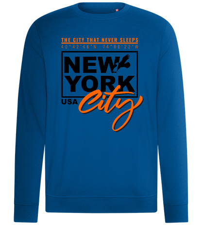 New York City Design - Comfort unisex sweater_ROYAL_front