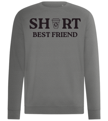 Short Best Friend Design - Comfort unisex sweater_ORION GREY II_front