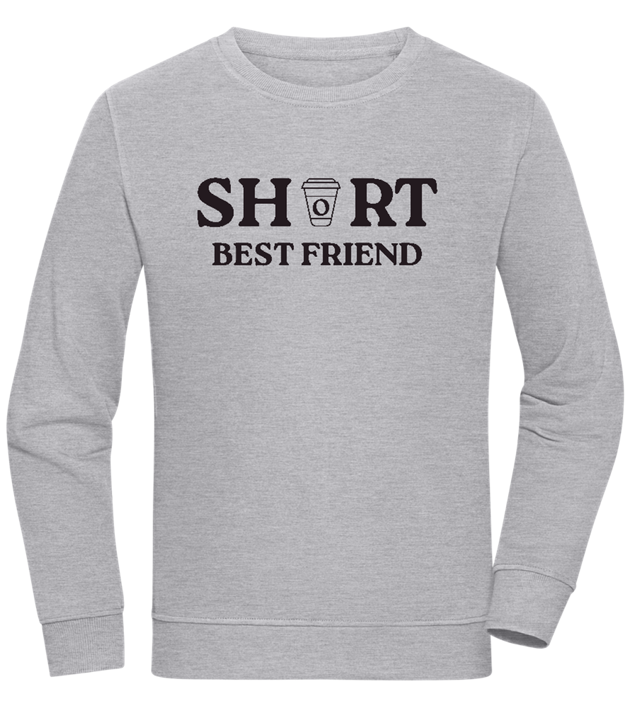 Short Best Friend Design - Comfort unisex sweater_ORION GREY II_front