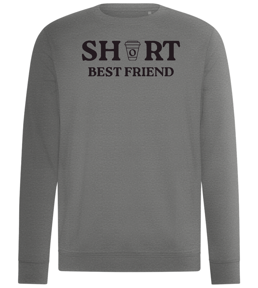 Short Best Friend Design - Comfort unisex sweater_ORION GREY II_front