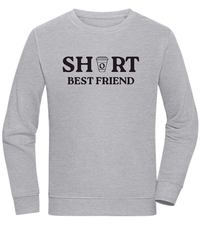 Short Best Friend Design - Comfort unisex sweater_ORION GREY II_front