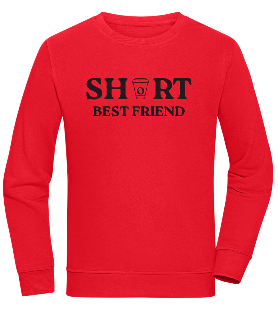 Short Best Friend Design - Comfort unisex sweater_RED_front