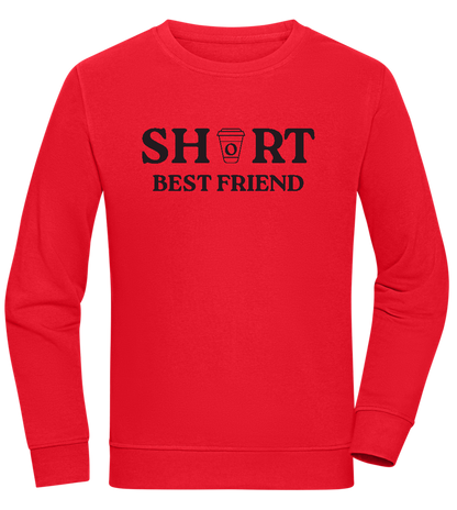 Short Best Friend Design - Comfort unisex sweater_RED_front