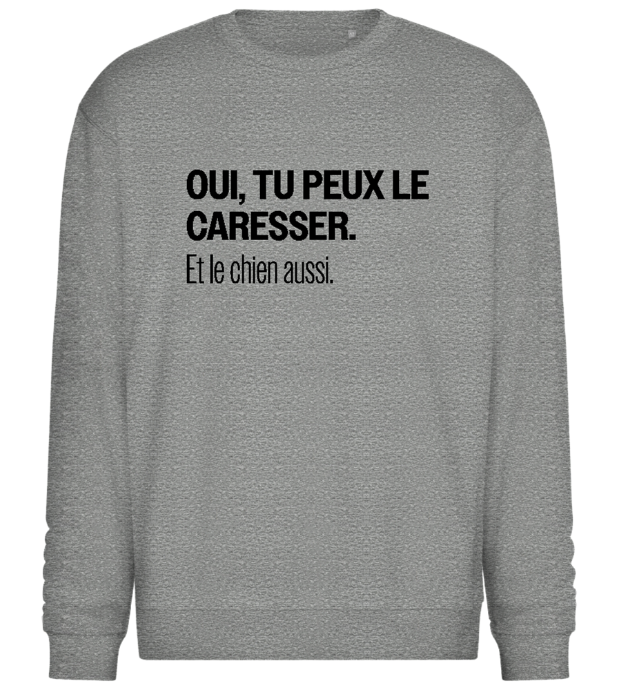 Oui Tu Peux Le Caresser Design - Comfort Essential Unisex Sweater_ORION GREY II_front