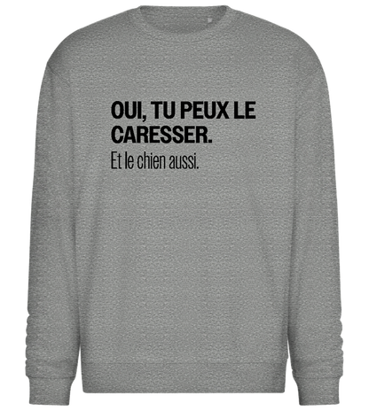 Oui Tu Peux Le Caresser Design - Comfort Essential Unisex Sweater_ORION GREY II_front