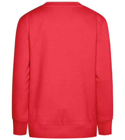 Comfort Kids Sweater_BRIGHT RED_back