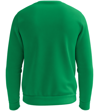 Premium kids sweater_KELLY GREEN_back