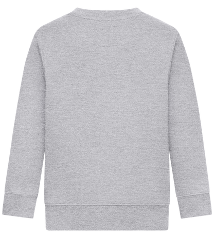 Comfort Kids Sweater_ORION GREY II_back