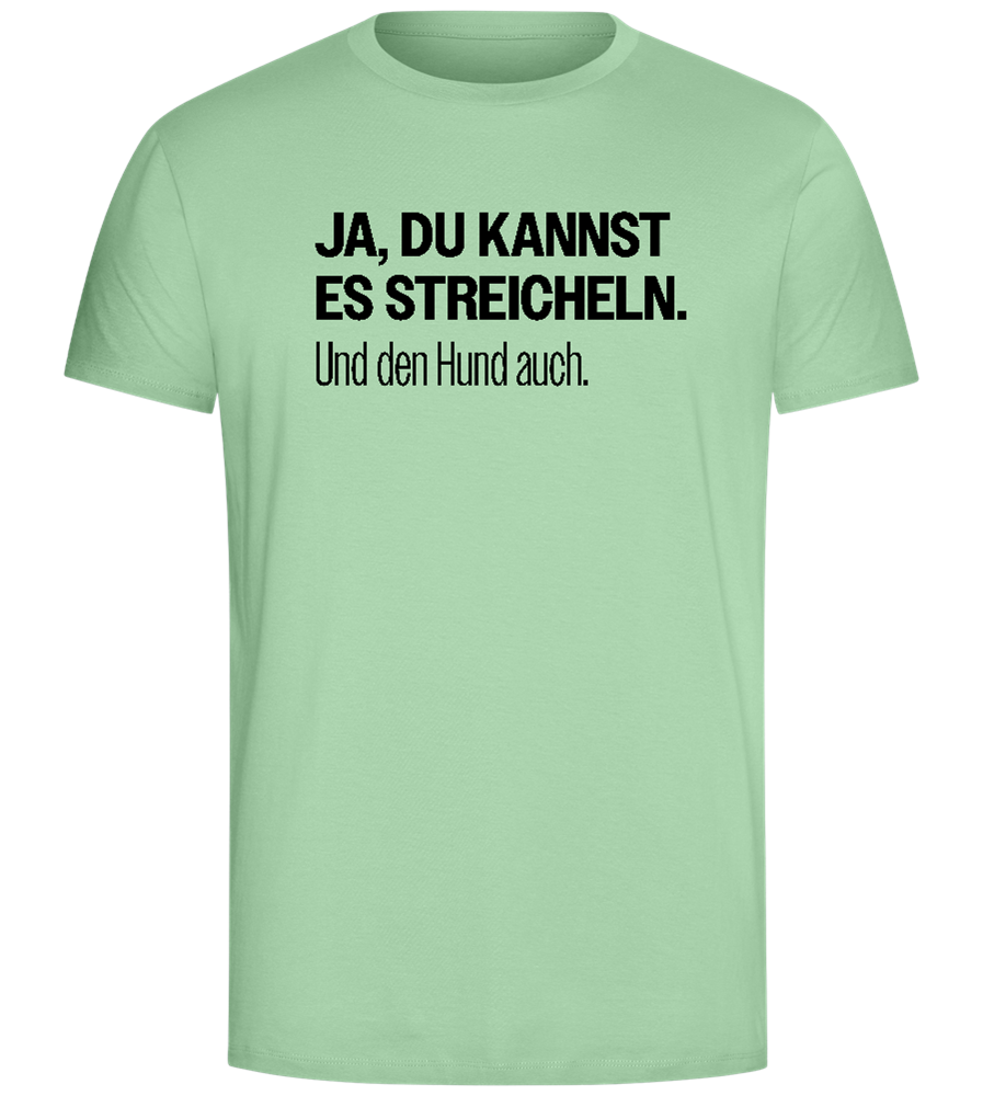 Du Kannst Es Streicheln Design - Comfort Unisex T-Shirt_ICE GREEN_front