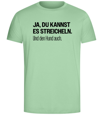 Du Kannst Es Streicheln Design - Comfort Unisex T-Shirt_ICE GREEN_front