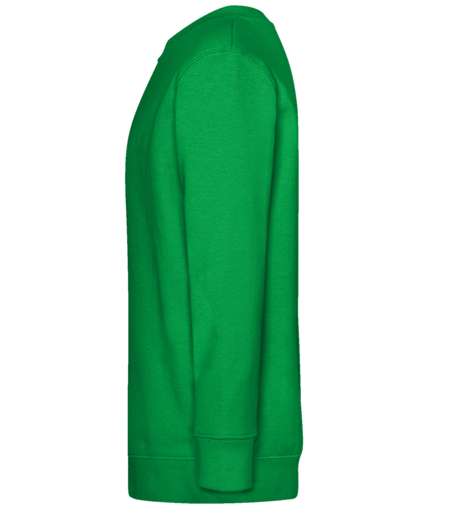 Spaceman Camera Design - Comfort Kids Sweater_MEADOW GREEN_left