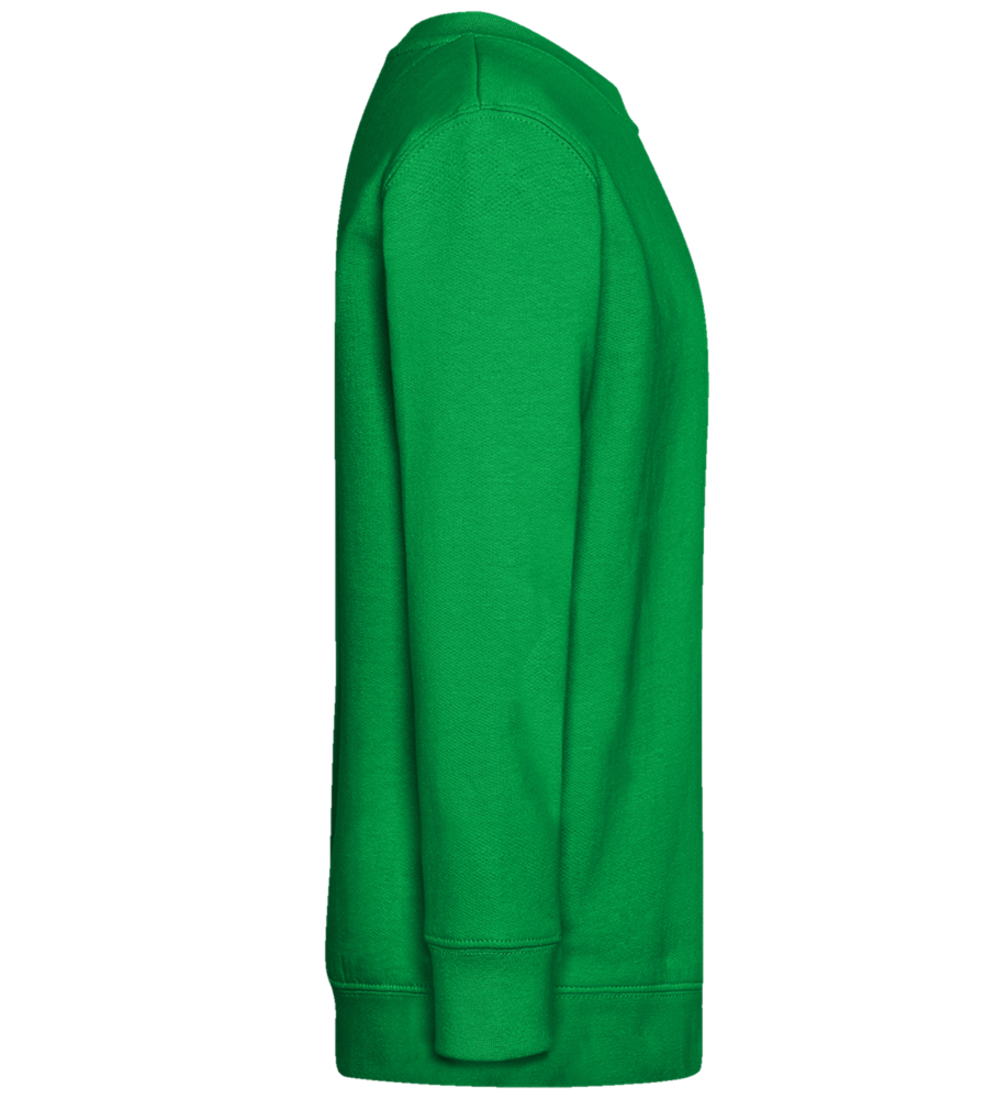 Spaceman Camera Design - Comfort Kids Sweater_MEADOW GREEN_right