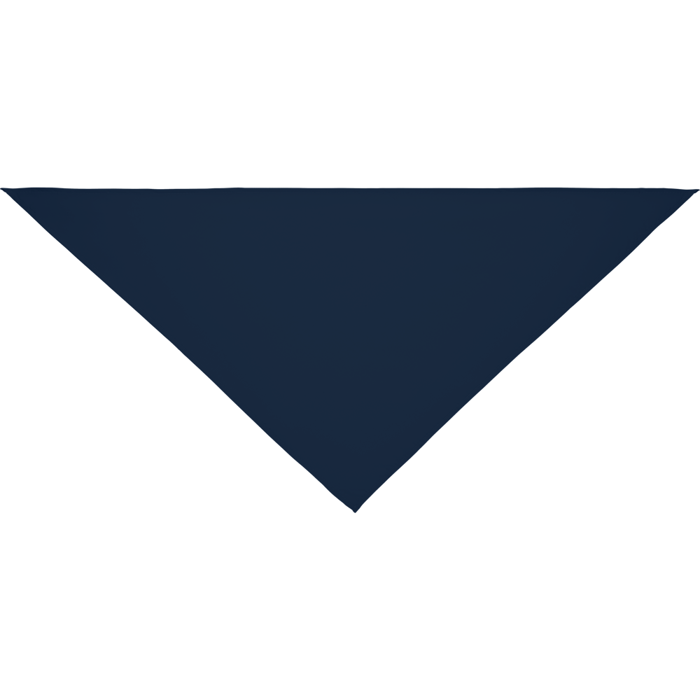 Multifunctional Triangle Bandana_FRENCH NAVY_front