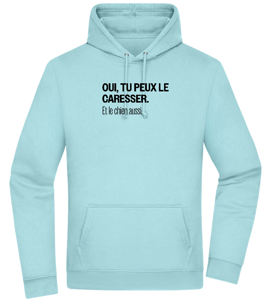 Tu Peux le Caresser Design - Premium Essential Unisex Hoodie_POOL BLUE_front