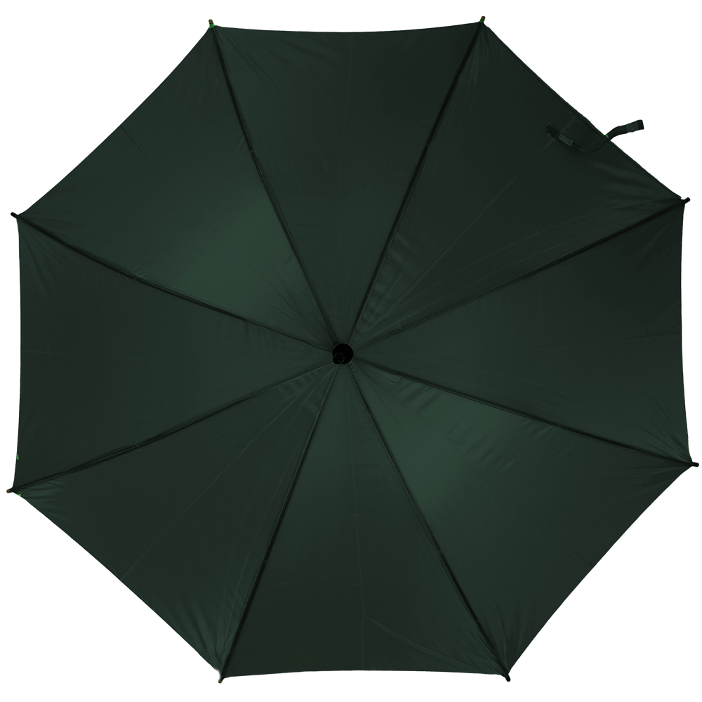 Auto-Open 23-Inch Umbrella_GREEN_front