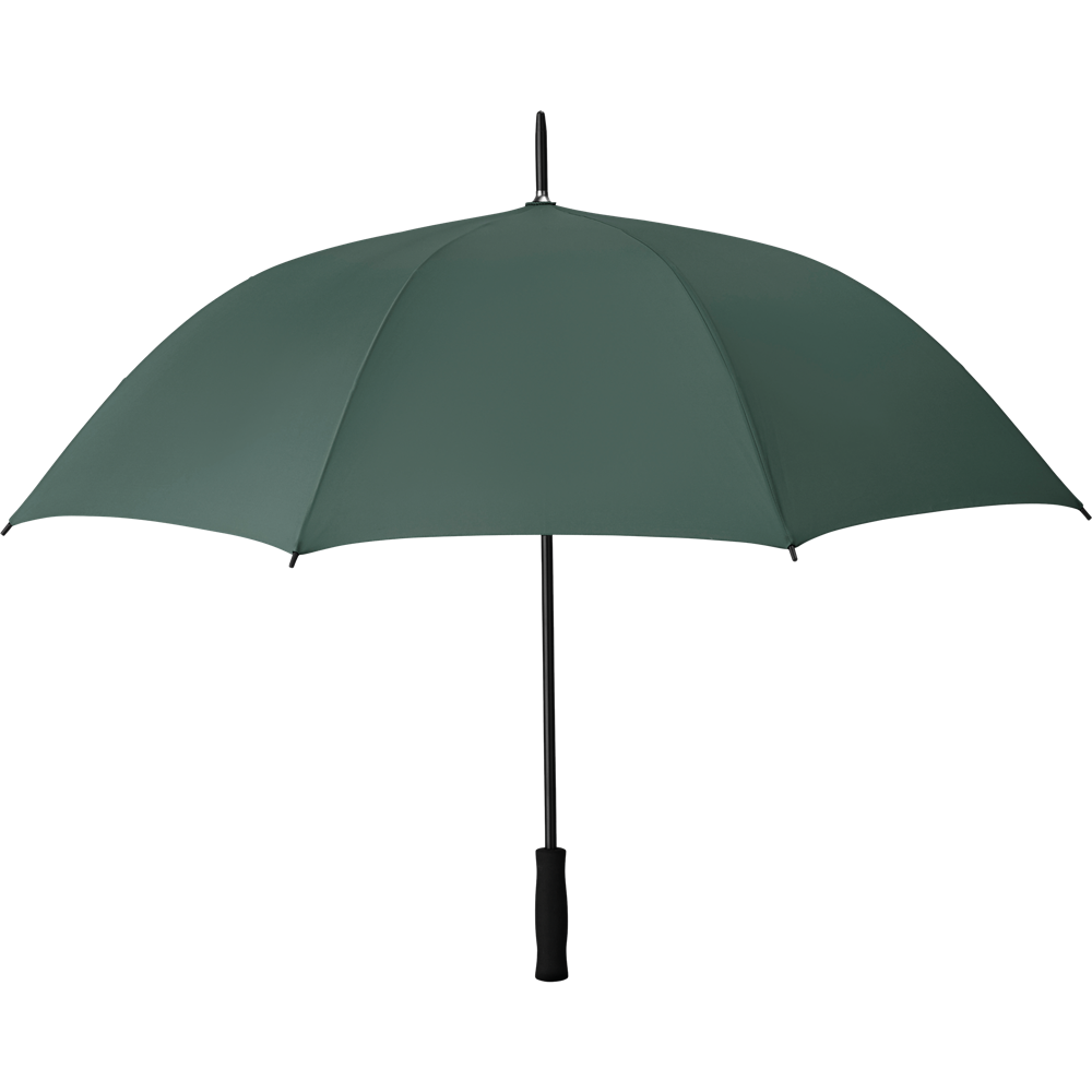 Auto-Open 27-Inch Umbrella_GREEN_DETAILEDIMAGE_front_1