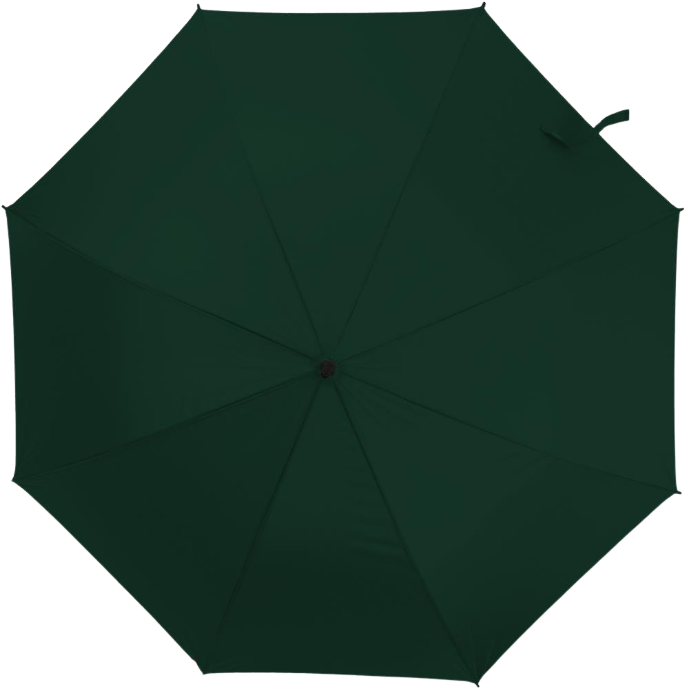 Auto-Open 27-Inch Umbrella_GREEN_front