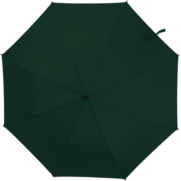 Auto-Open 27-Inch Umbrella_GREEN_front