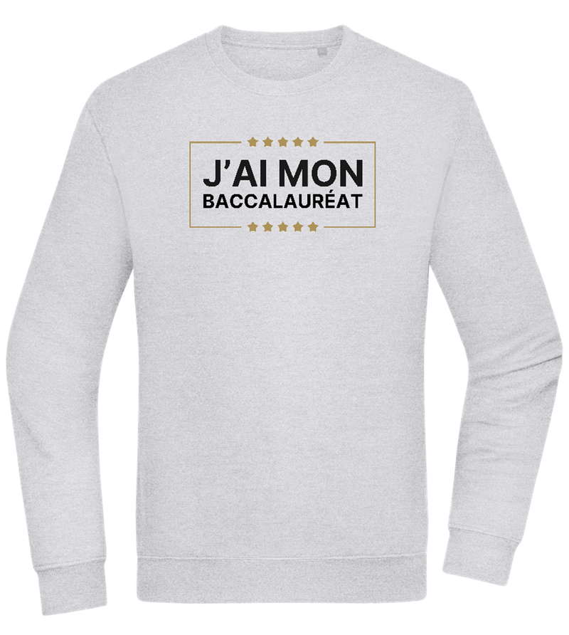 J'ai Mon Bac Design - Comfort Essential Unisex Sweater_ORION GREY II_front