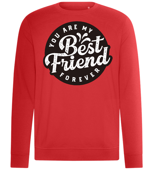 You Are My Best Friend Forever Design - Comfort unisex sweater_RED_front