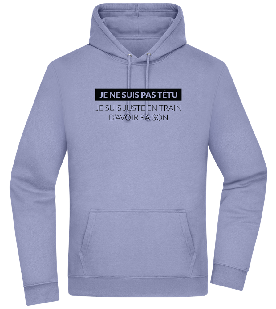 I'm Always Right Design - Premium Essential Unisex Hoodie_BLUE_front