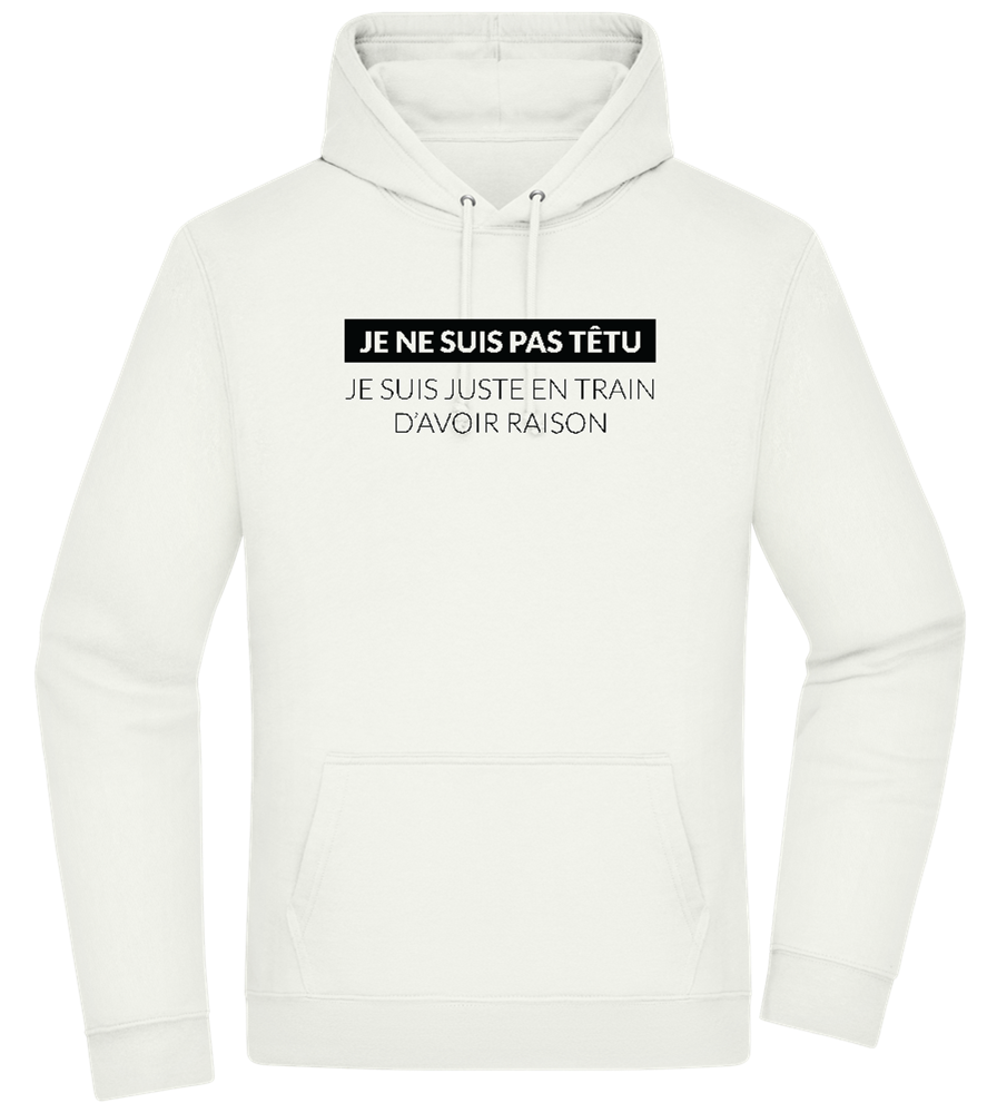 I'm Always Right Design - Premium Essential Unisex Hoodie_CREAMY GREEN_front