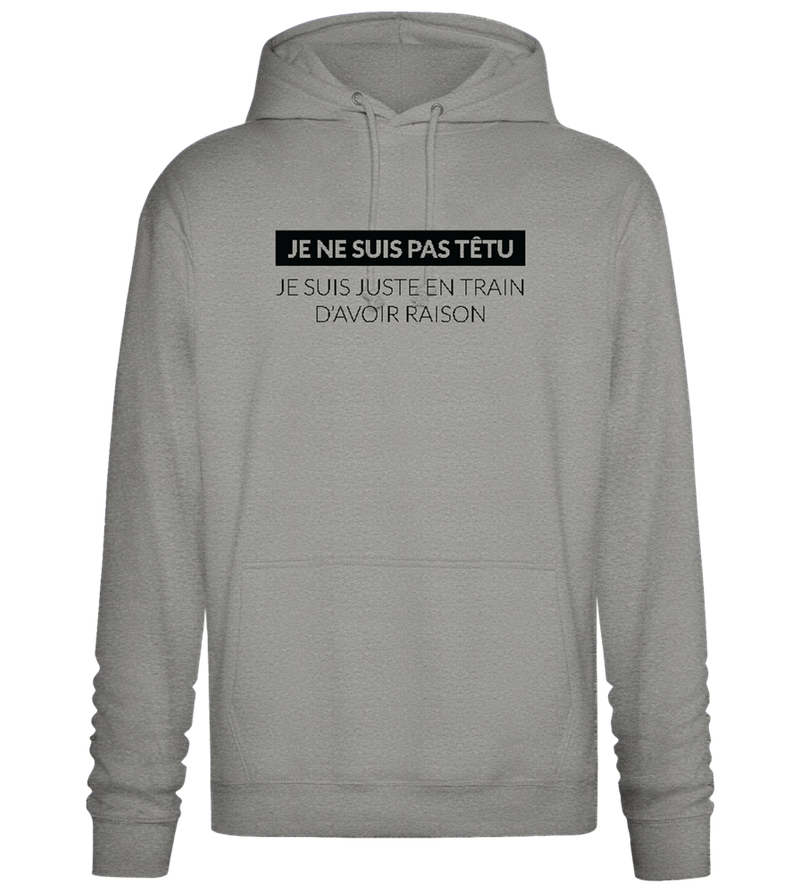 I'm Always Right Design - Premium Essential Unisex Hoodie_ORION GREY II_front