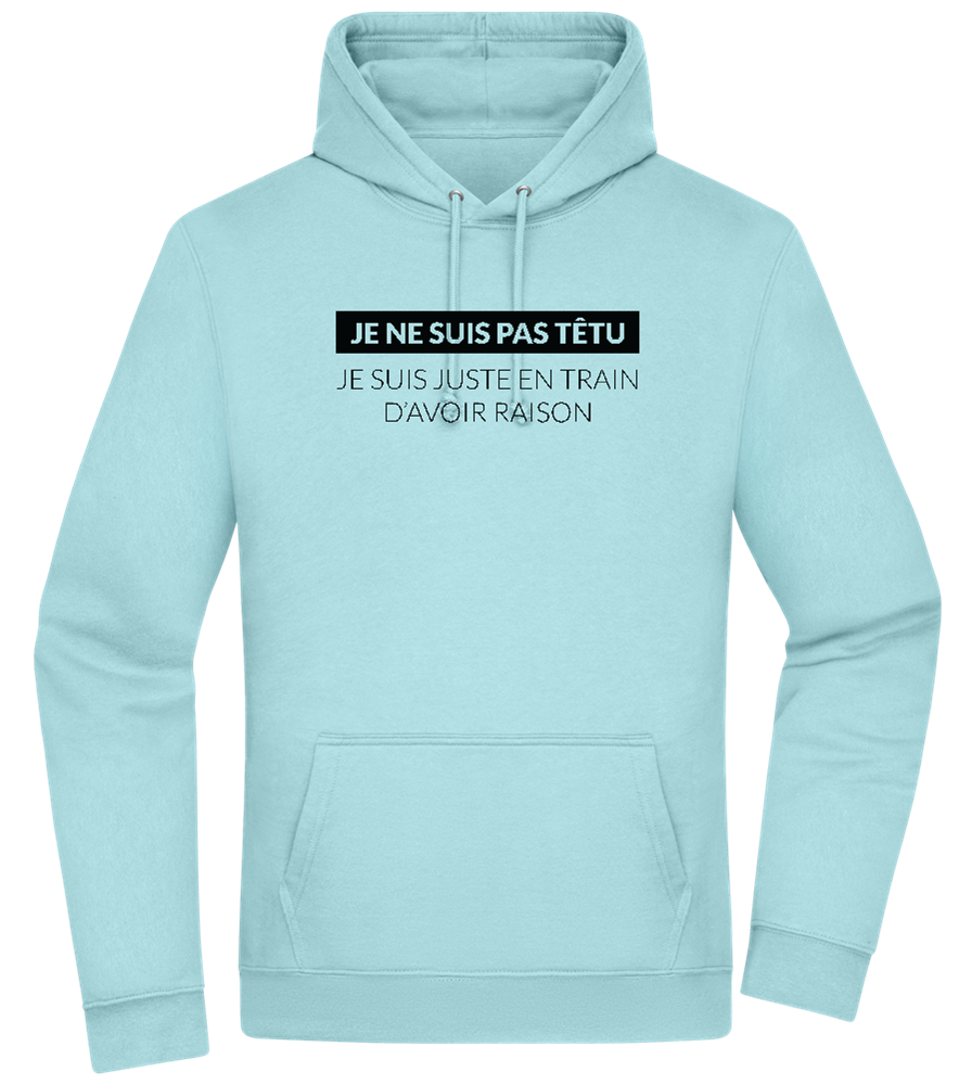 I'm Always Right Design - Premium Essential Unisex Hoodie_POOL BLUE_front