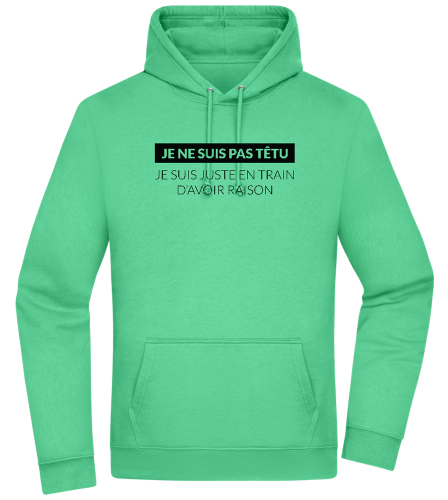 I'm Always Right Design - Premium Essential Unisex Hoodie_SPRING GREEN_front