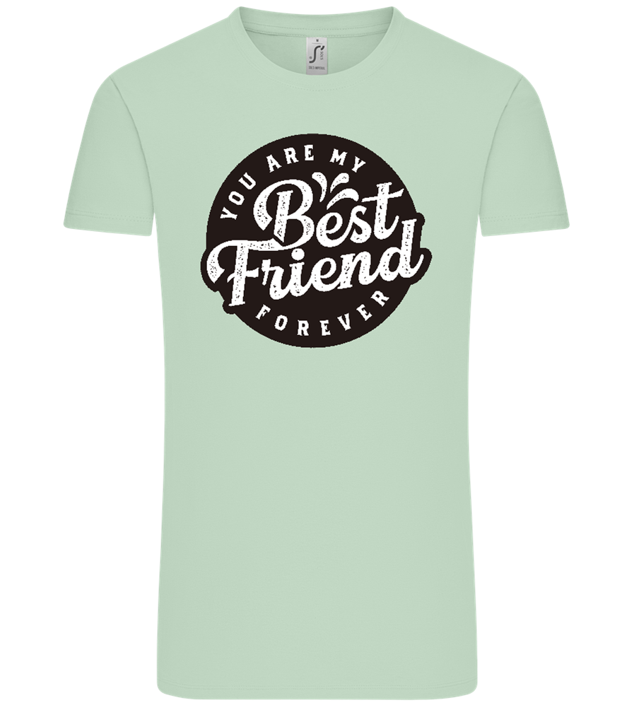 You Are My Best Friend Forever Design - Comfort Unisex T-Shirt_ICE GREEN_front