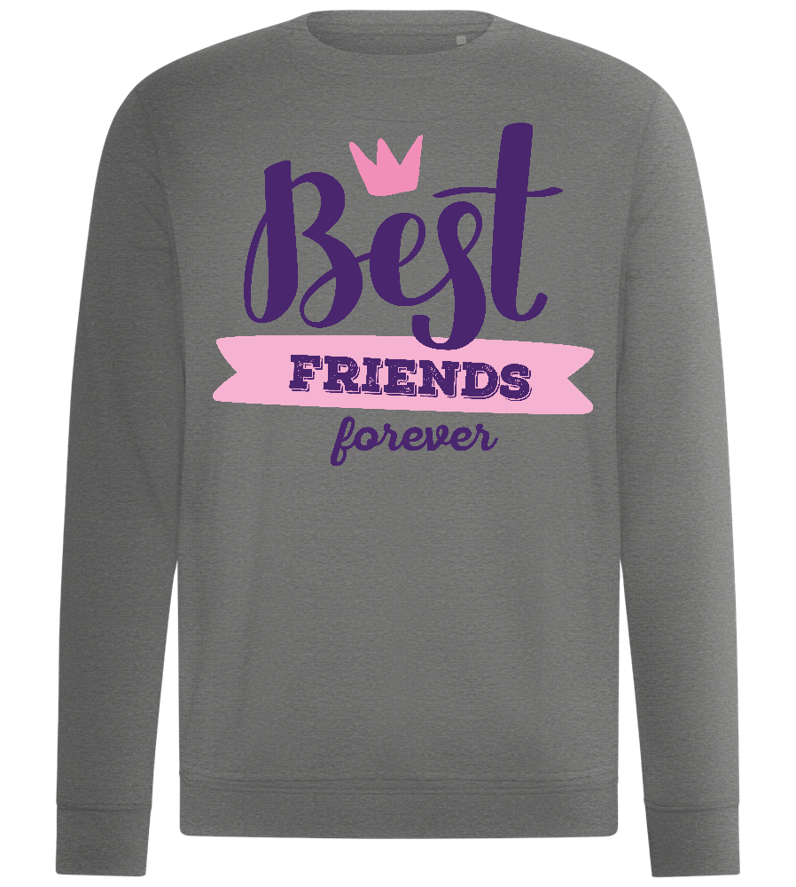 Best Friend Crown Design - Comfort unisex sweater_ORION GREY II_front