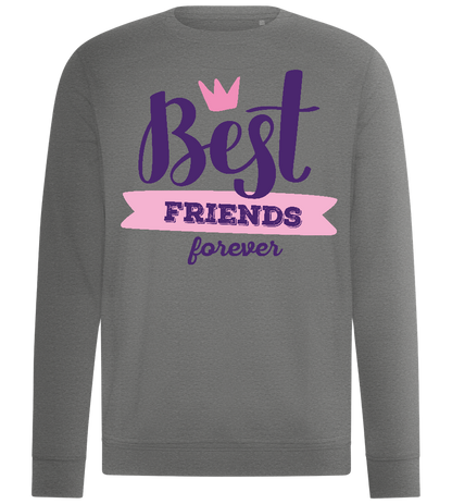 Best Friend Crown Design - Comfort unisex sweater_ORION GREY II_front